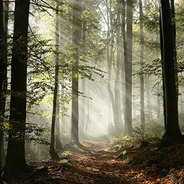 Perfection Framing Picture Framing Wicklow Dublin Irish Hardwoods handcrafted handmade